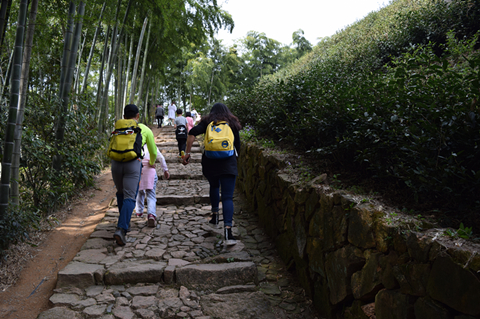 春游照片1_副本