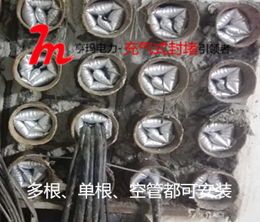 感謝揚州客戶對我們充氣式管道密封裝置的認可和好評