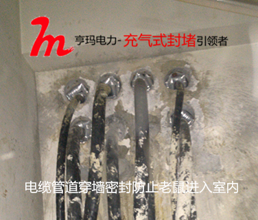 IMG_20131212_145325_副本