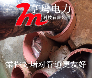 P51014-122701_副本