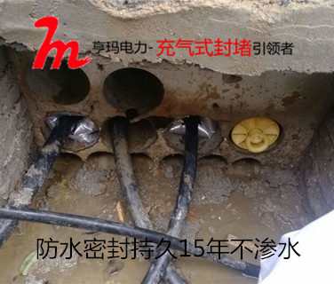 411A0A7CA11666_副本