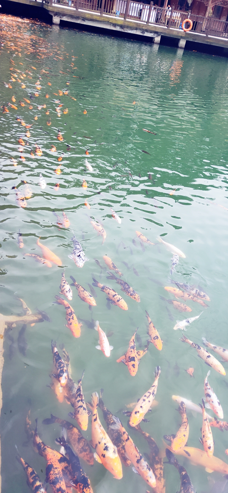 454b7574ef9711a31ac564cd0430cdc