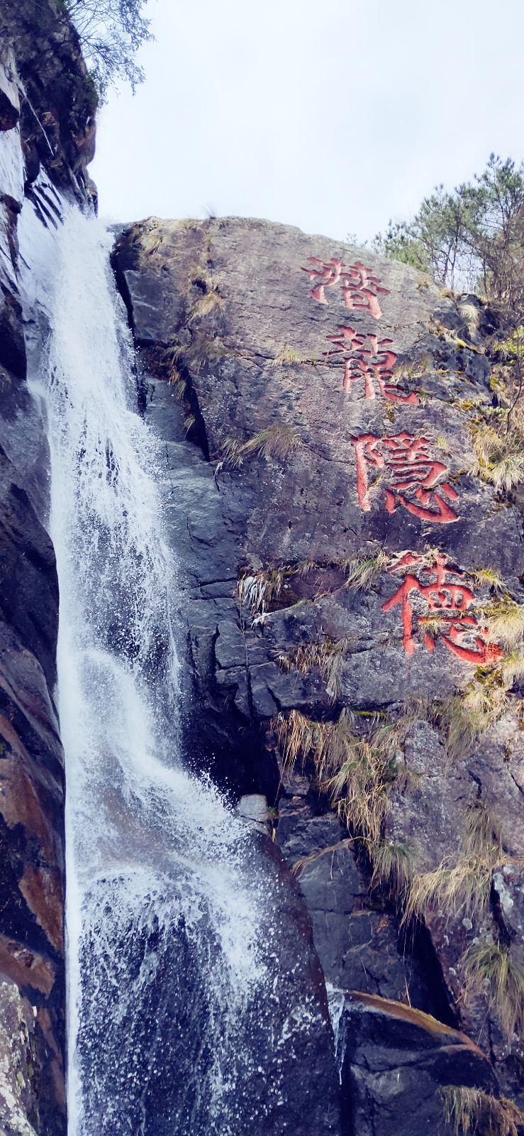 07436d5c5dd3e24f3ef2ccac0b40ec2