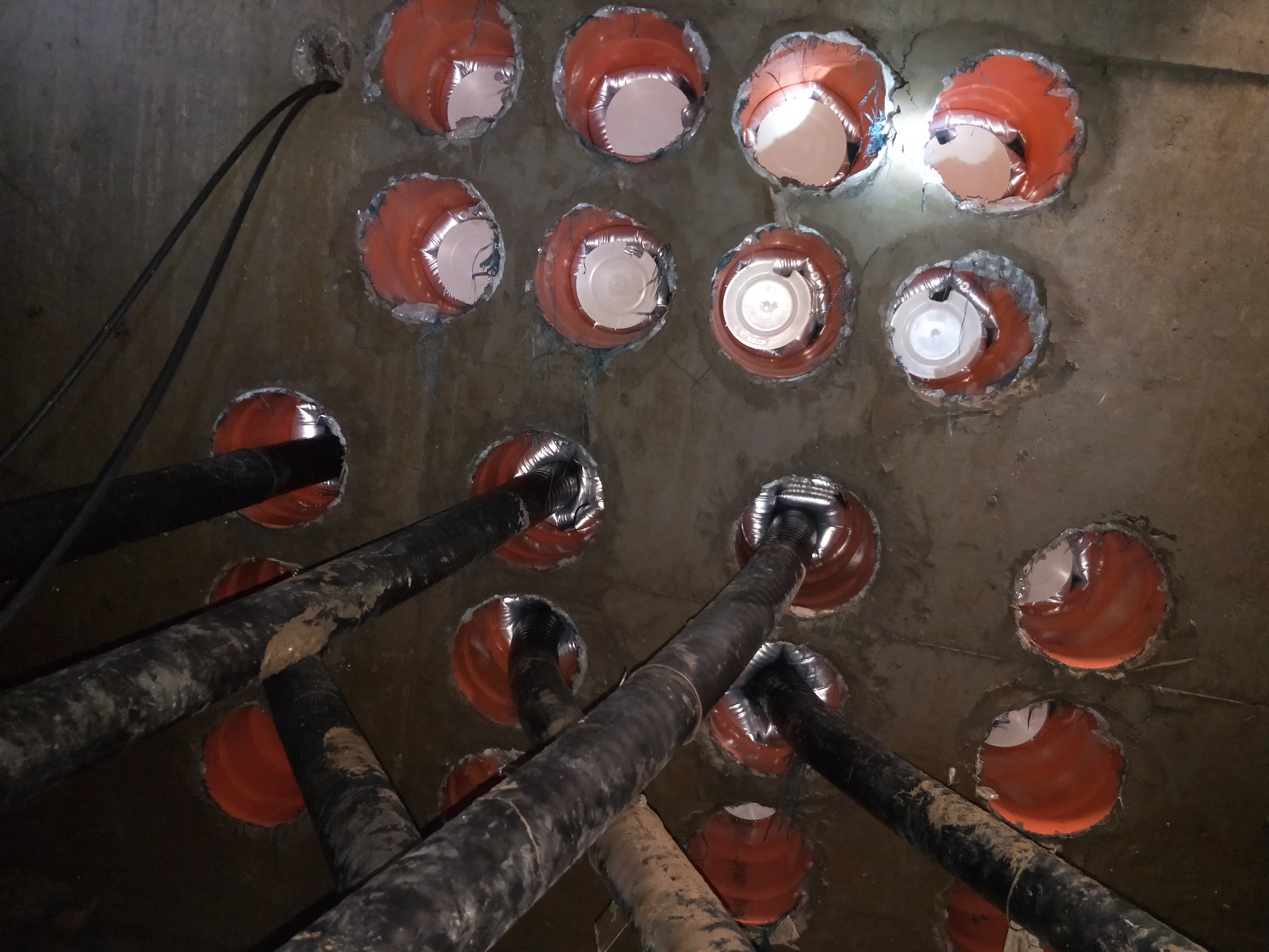 7e774d8acd571aca44cebc6bda9c4d5