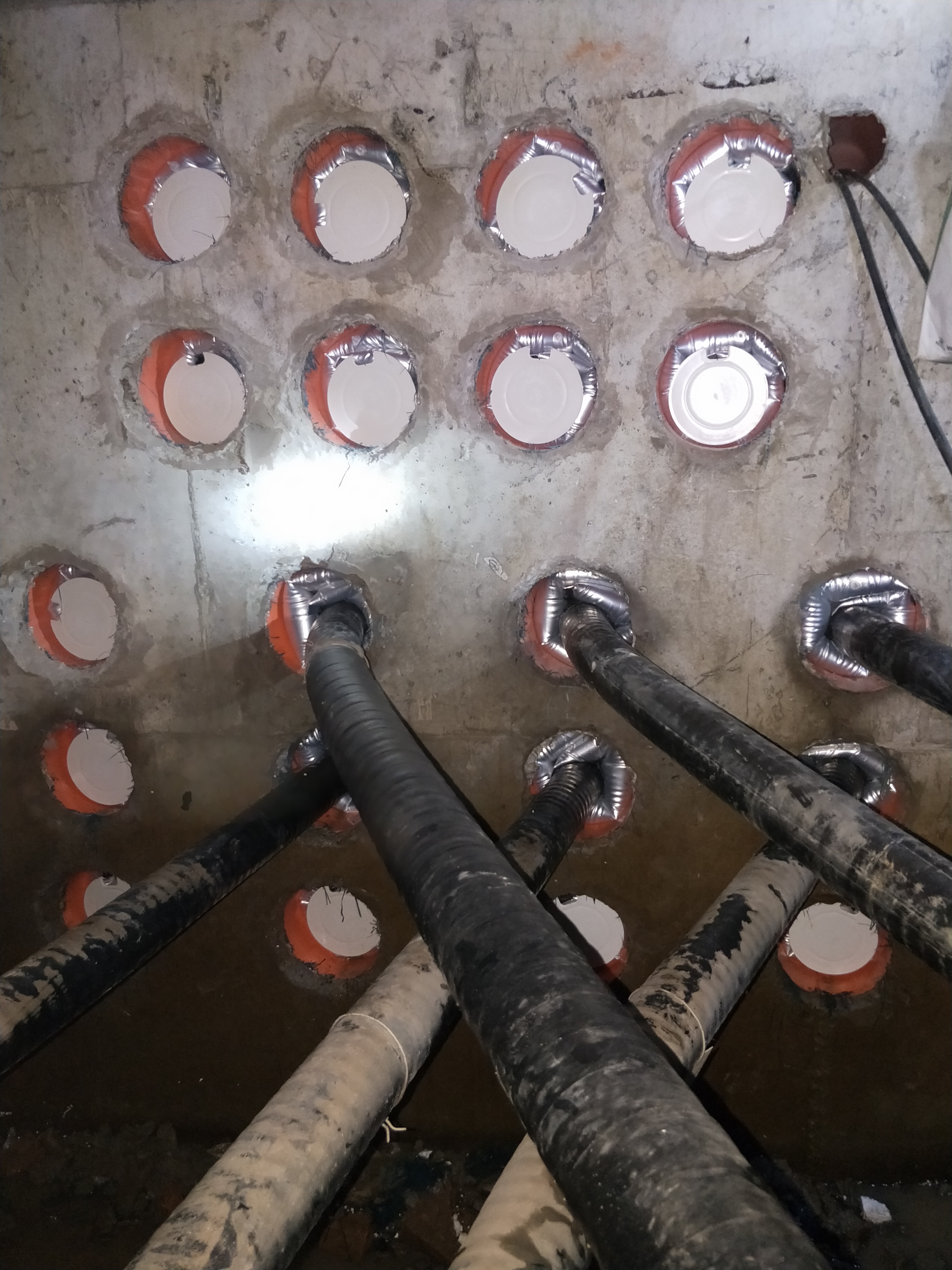 53e90d80251a5be7d9366d856004312