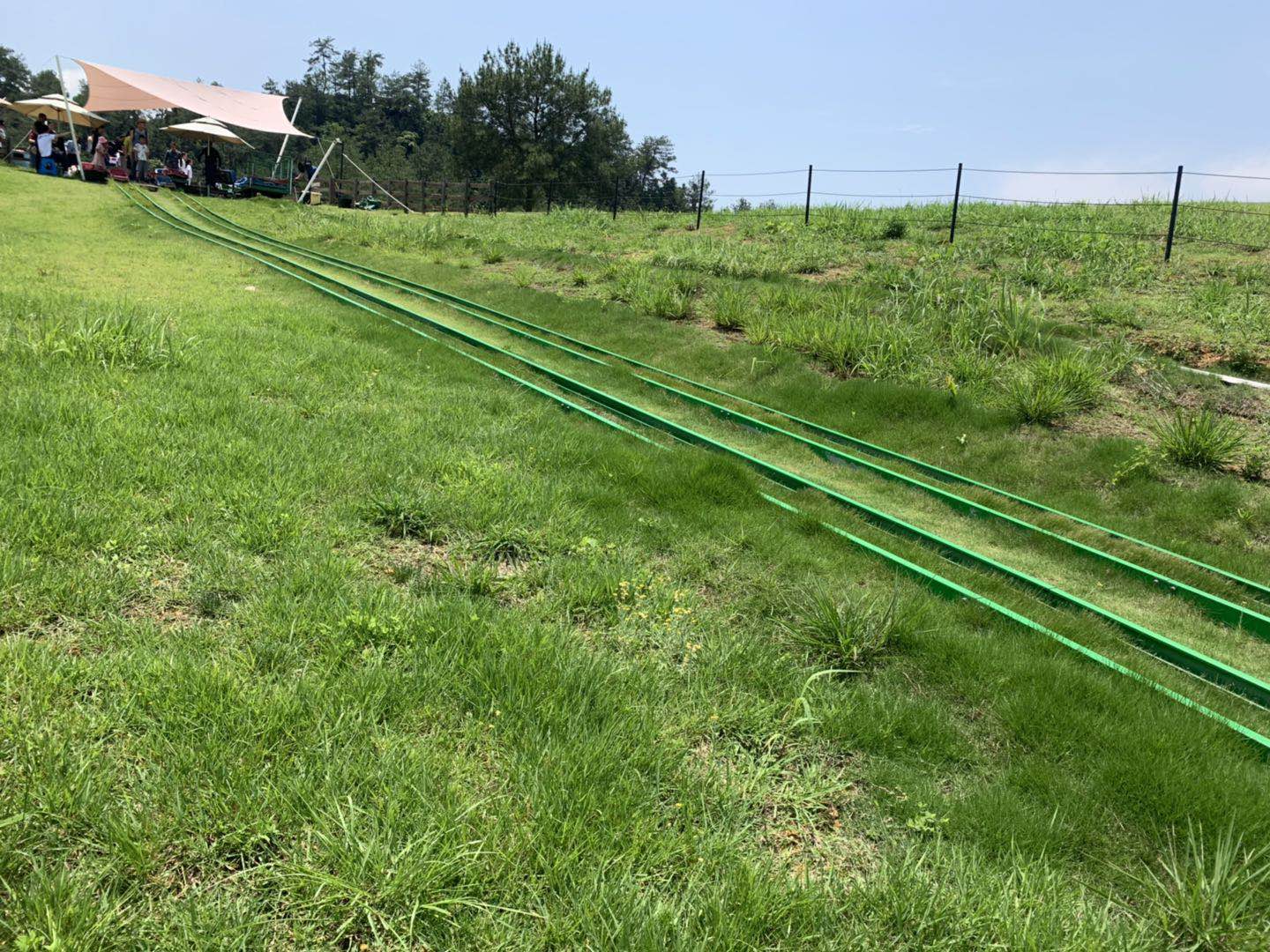 微信圖片_20200602092353