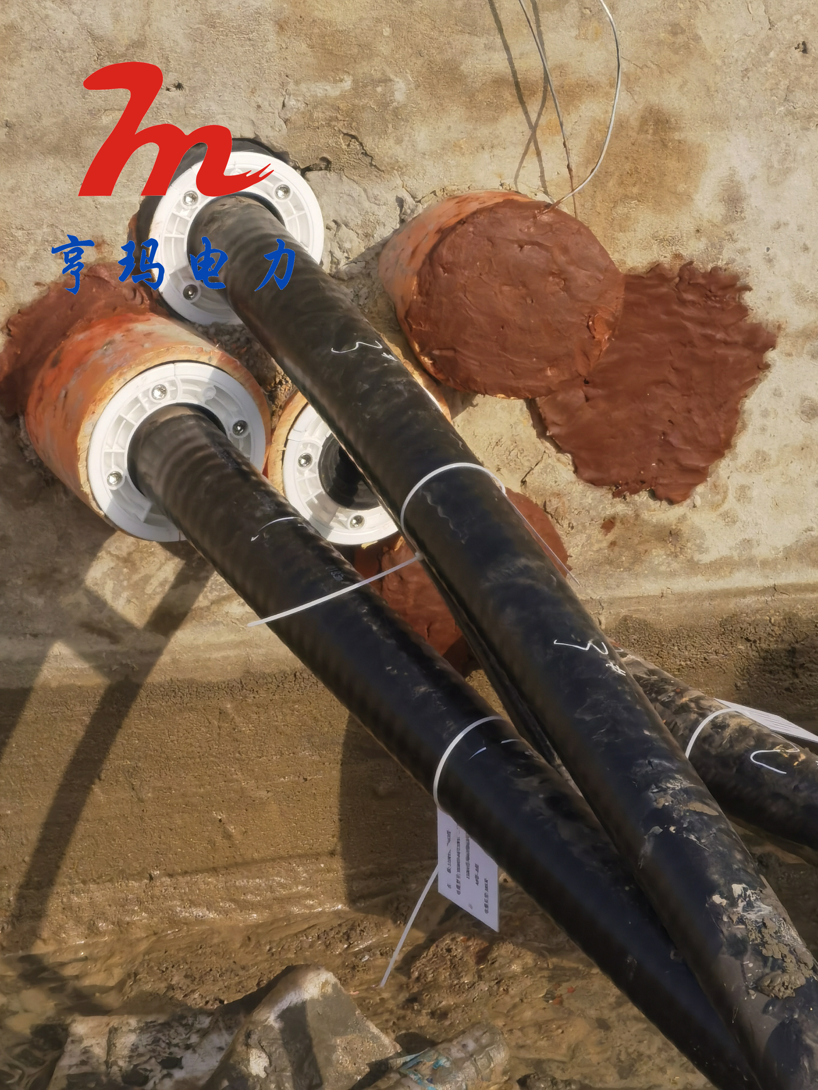 微信圖片_20210118094000_副本