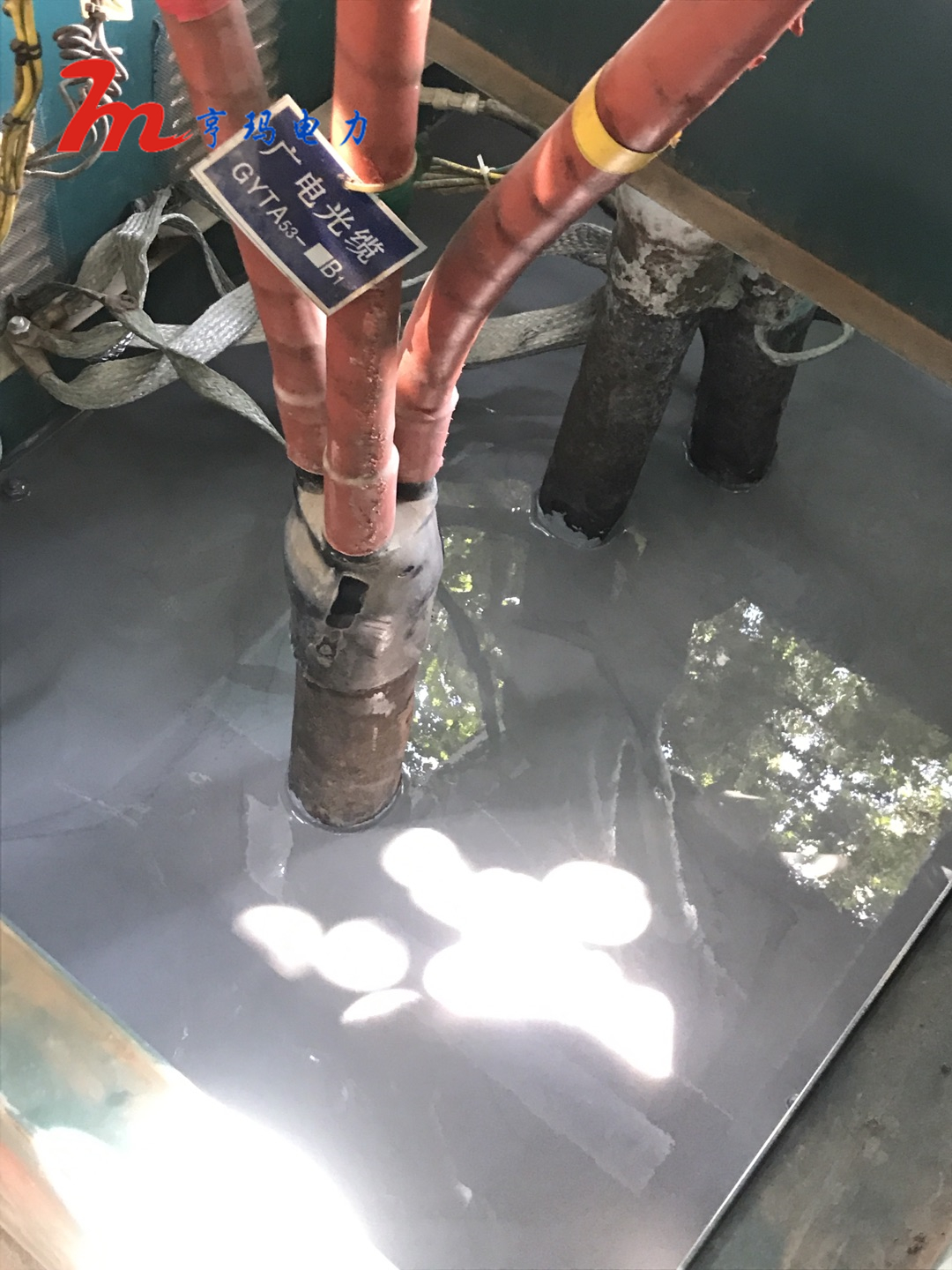 d2fcb609-1ee5-4ee5-83e4-bfa2e5d3d96c